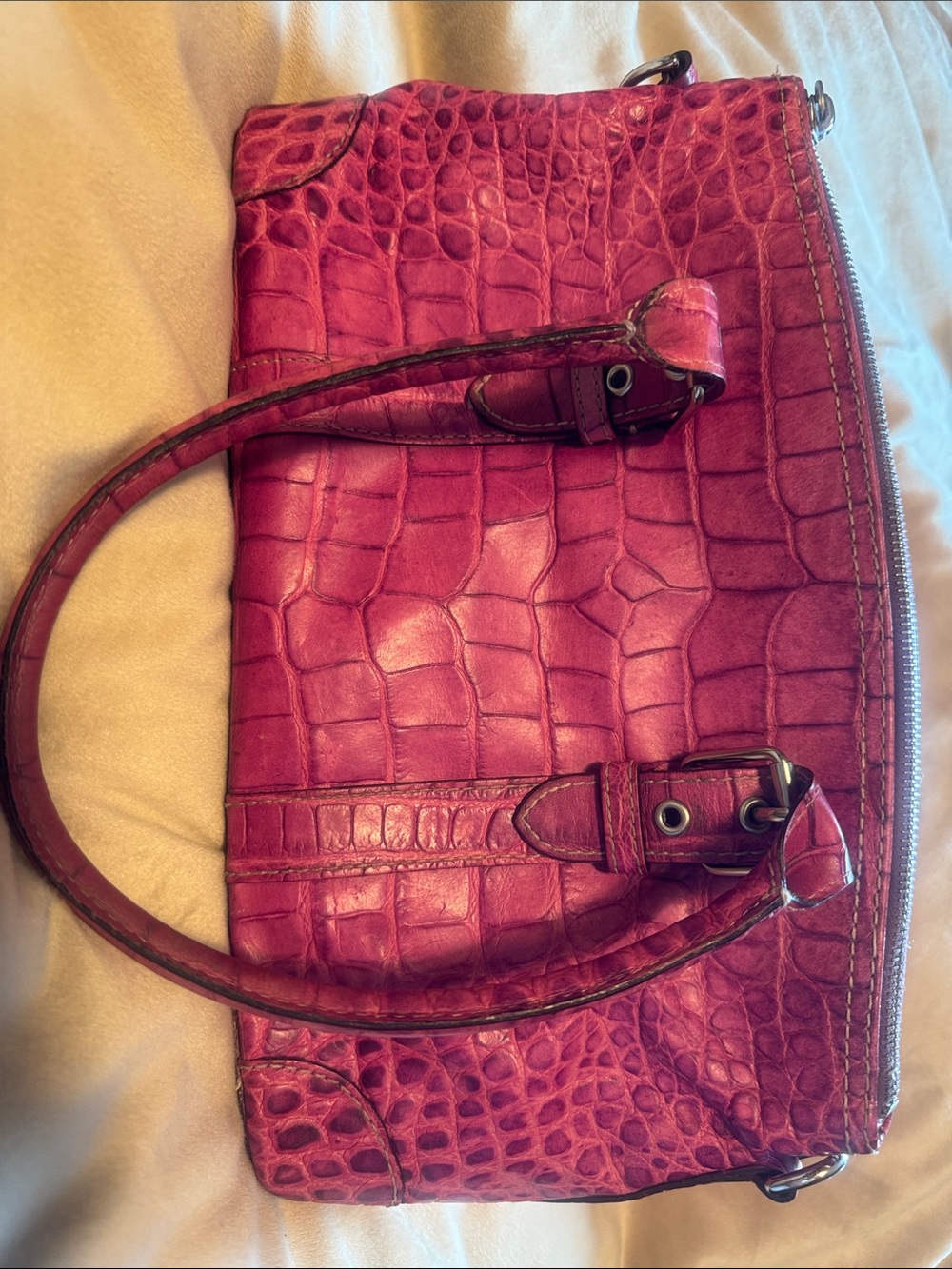 Dooney and Brooke Nile collection Croc-Embossed Pink Shoulder Bag